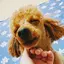 みづきのプロフィール画像