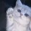 ♪♪のプロフィール画像
