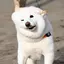 ynrnkのプロフィール画像
