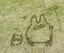 陽葵のプロフィール画像