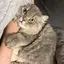 ちのプロフィール画像