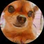あやゃのプロフィール画像