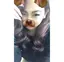 Boooochanのプロフィール画像