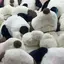 みるくのプロフィール画像
