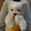 Sのプロフィール画像