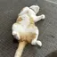 さきのプロフィール画像
