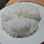 ハーブのプロフィール画像
