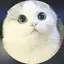 qty2oxのプロフィール画像