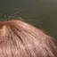 ふーのプロフィール画像