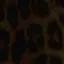 のんのんのプロフィール画像