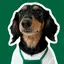 mikiのプロフィール画像