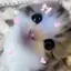 나のプロフィール画像