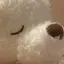yのプロフィール画像