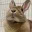 かいたのプロフィール画像