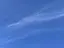 しーのプロフィール画像
