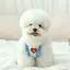 なおのプロフィール画像