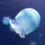 湊のプロフィール画像