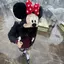 すずのプロフィール画像
