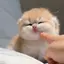はるちのプロフィール画像