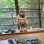 あんちゃんのプロフィール画像