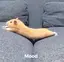 ぴち丸のプロフィール画像