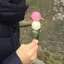 ささきのプロフィール画像