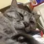 みゆのプロフィール画像