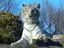 佐藤のプロフィール画像