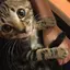 みーるのプロフィール画像