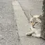 歩のプロフィール画像