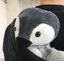 りんごのプロフィール画像