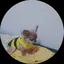 みゆのプロフィール画像