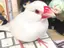みのりのプロフィール画像