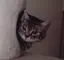 kiyotaのプロフィール画像