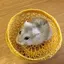 のもとのプロフィール画像