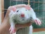 とみーのプロフィール画像