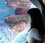 まゆのプロフィール画像