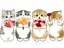 Misatoのプロフィール画像
