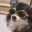 なむのプロフィール画像