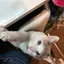 yumiのプロフィール画像