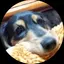 vaのプロフィール画像