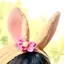 BBのプロフィール画像