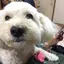 やんのプロフィール画像