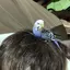 みっちゃんのプロフィール画像
