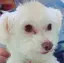 WOOTYのプロフィール画像