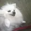 mayukaのプロフィール画像