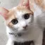 まなみのプロフィール画像