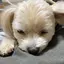 mのプロフィール画像