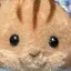 まこのプロフィール画像