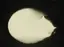 Nのプロフィール画像